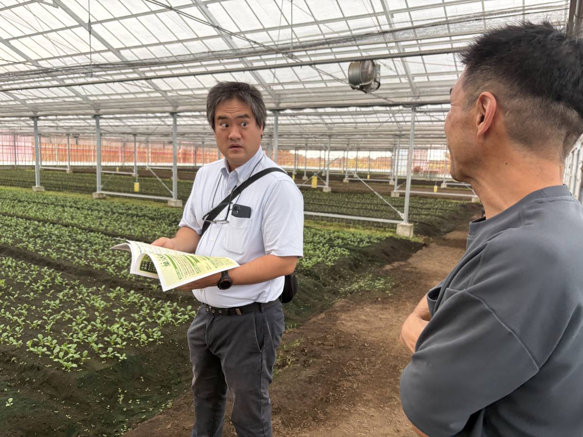 圃場で生育状況を確認しながら説明するコンサルタント