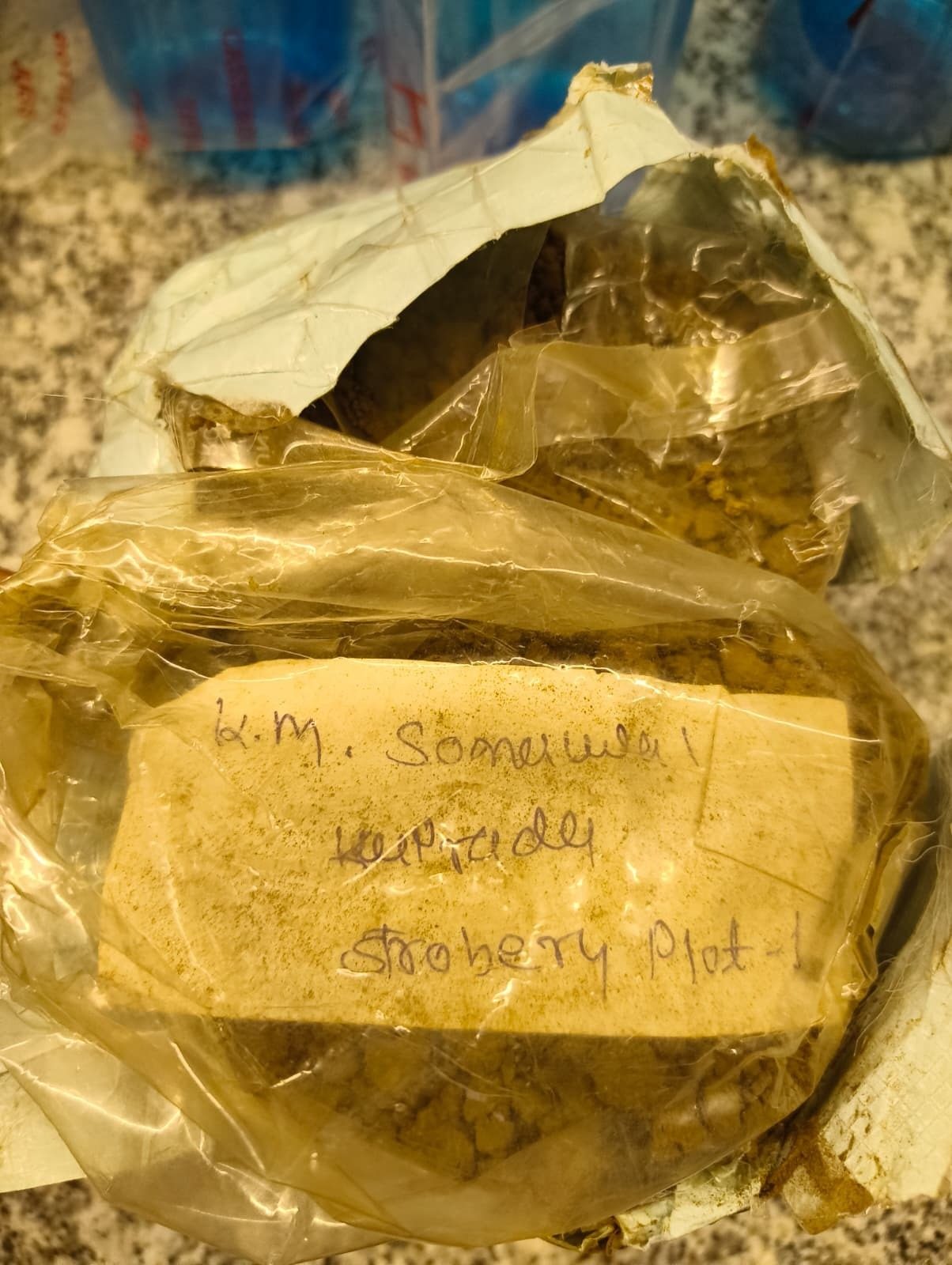 Labelled soil sample bags collected from the Sakori field, marked by farmer, village and plot — including a strawberry plot